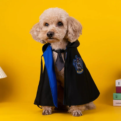 Pet Clothes Pet Cosplays Cloak College Cat Costume